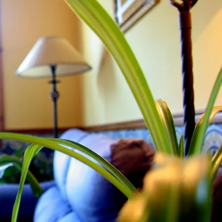 Gasthuis Casa Barranco Castejón del Puente