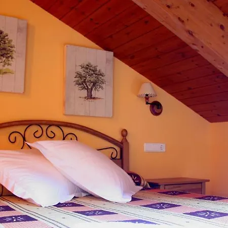 Casa Barranco بيت ضيافة Castejón del Puente