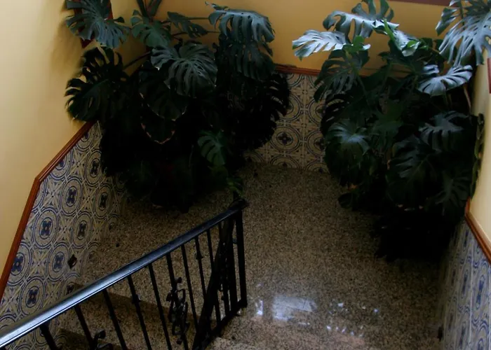 Casa de hóspedes Casa Barranco Castejón del Puente