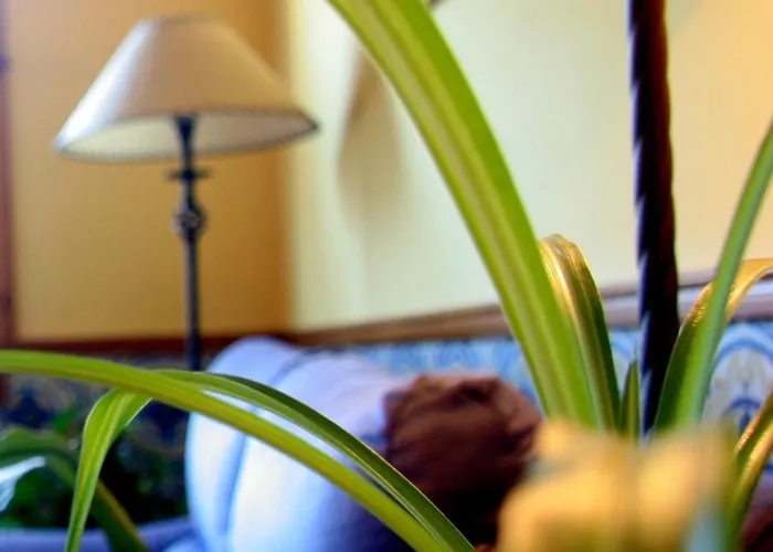 Casa de hóspedes Casa Barranco Castejón del Puente